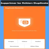 Duplicate File Remover Duplicate File Finder